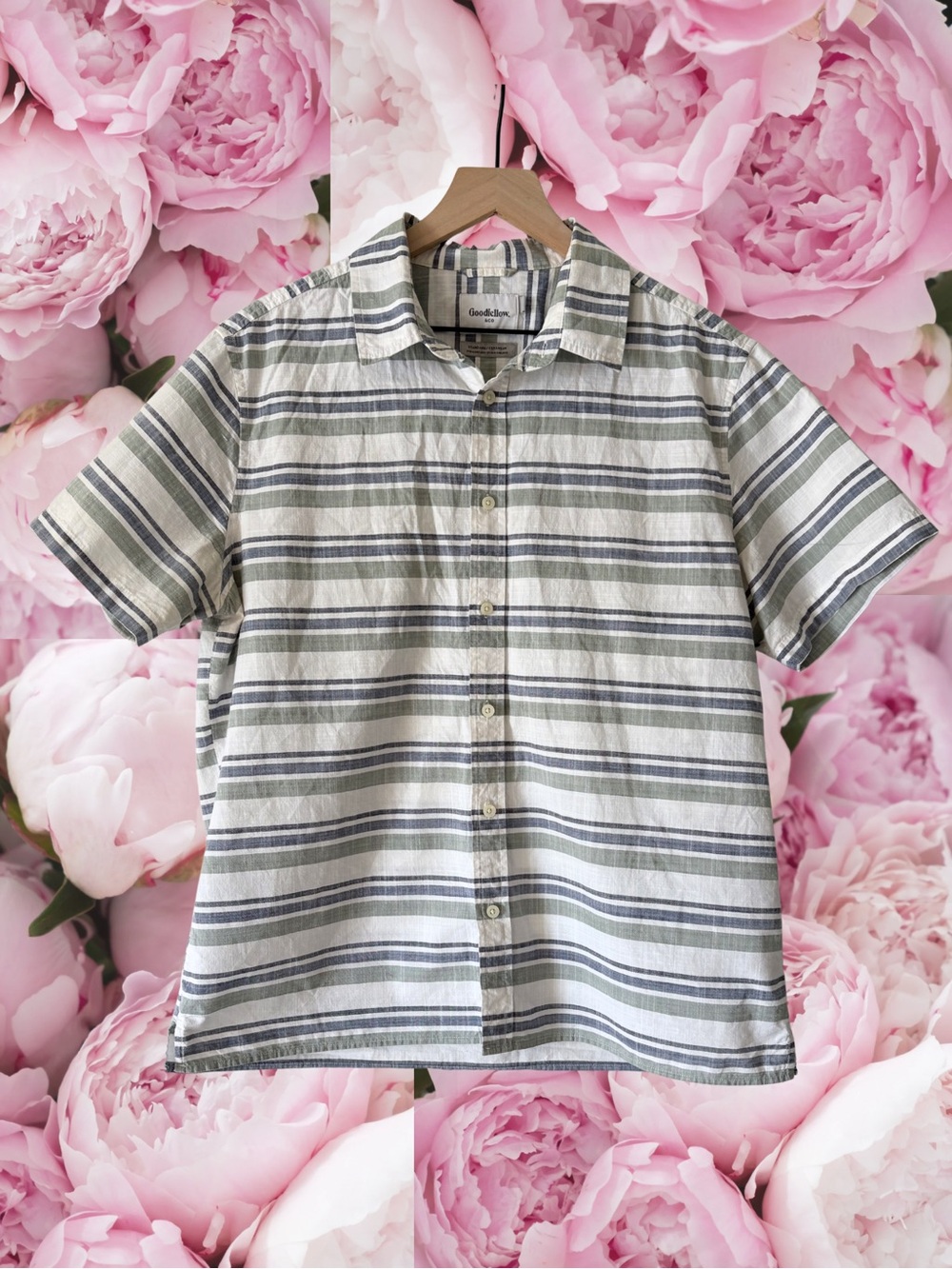 Goodfellow & Co. Striped Short Sleeve Button Down Shirt